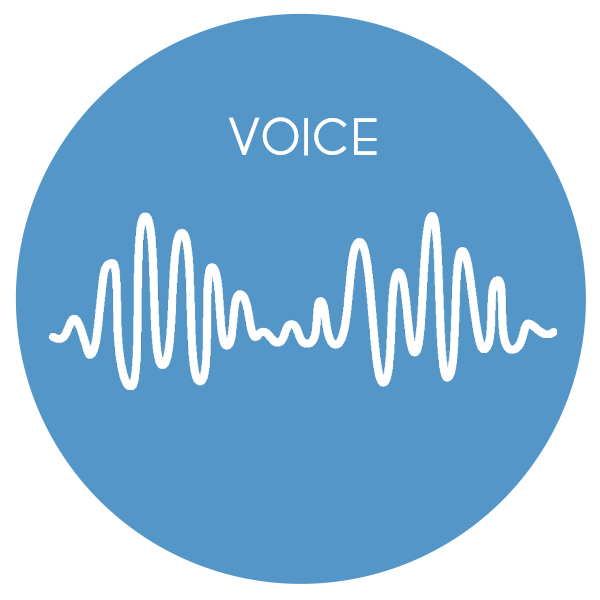 Voice