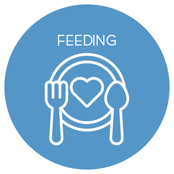 Feeding